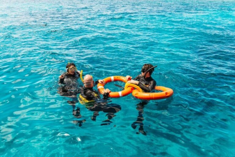 From Cairns: Great Barrier Reef Cruise by Premium Catamaran - The Experience: What to Expect on This Reef Trip