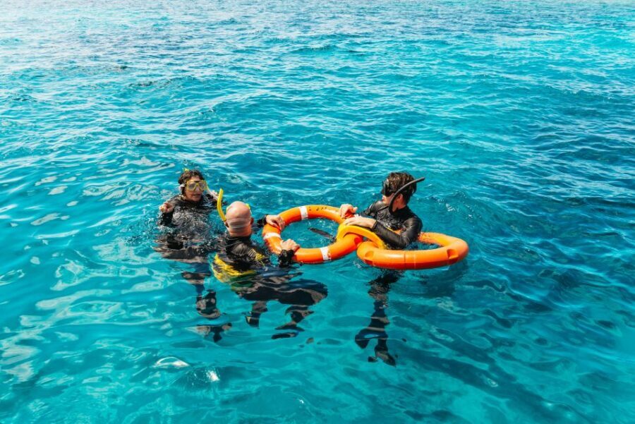 From Cairns: Great Barrier Reef Cruise by Premium Catamaran - The Experience: What to Expect on This Reef Trip