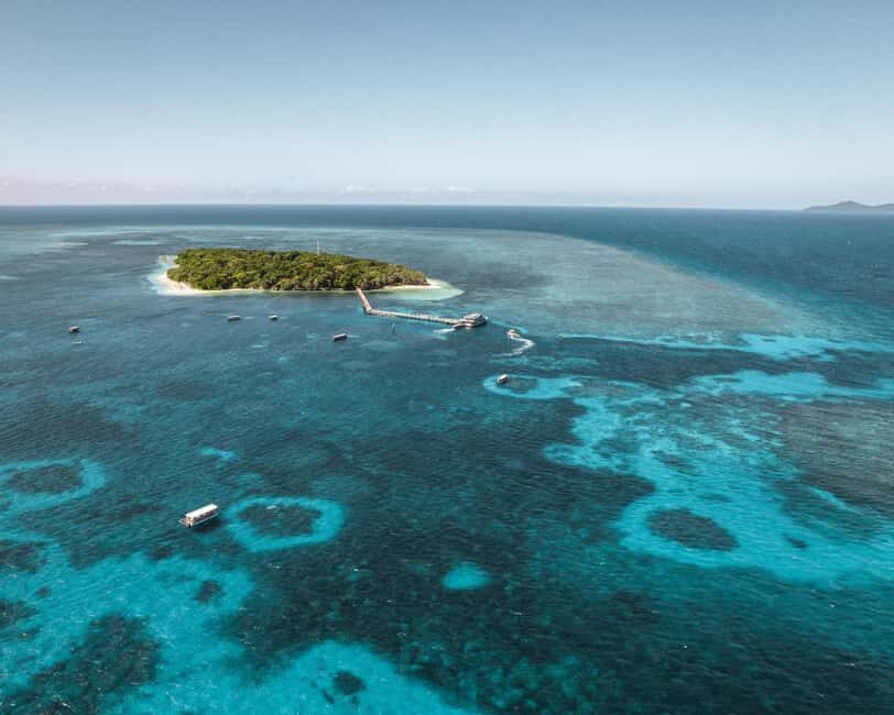 From Cairns: Half-Day Afternoon Cruise to Green Island - Exploring the Green Island Half-Day Cruise