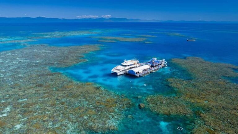 From Cairns: Moore Reef, Fitzroy Island Tour with Helicopter - What Makes This Tour Worthwhile?