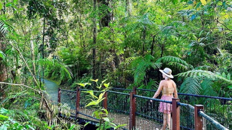 From Cairns: Waterfall Tour with Lunch - Authentic Experiences from Reviews