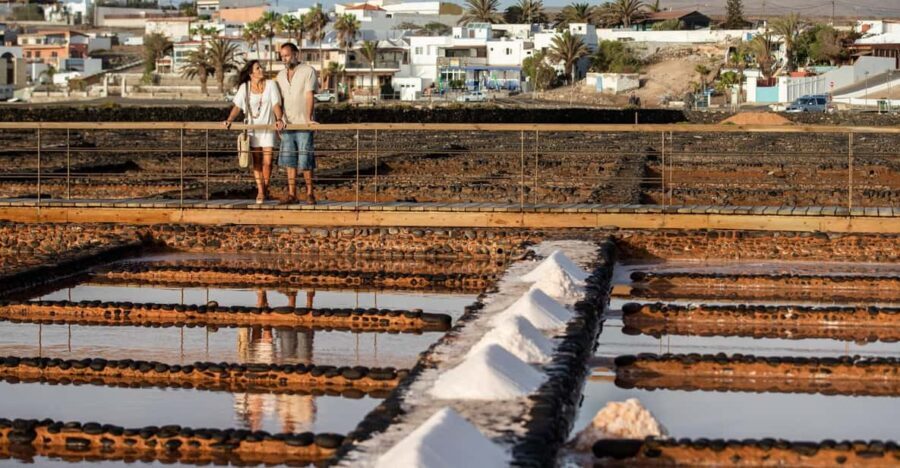 From Caleta de Fuste: Explore Rural Fuerteventura Tour - Why This Tour Offers Great Value