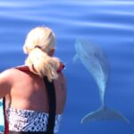From Calheta: Whale and Dolphin Watching RIB Boat Tour - An In-Depth Look at the Madeira Whale and Dolphin RIB Tour