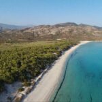 From Calvi: 4x4 Day Tour Mountain & Agriates' Saleccia Beach - A Full Look at the 4x4 Day Tour from Calvi