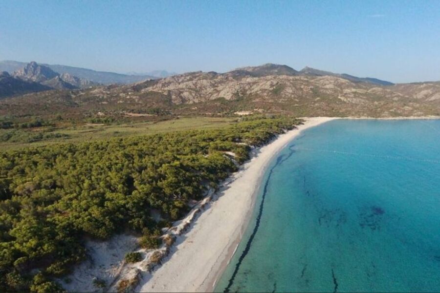 From Calvi: 4x4 Day Tour Mountain & Agriates' Saleccia Beach - A Full Look at the 4x4 Day Tour from Calvi
