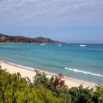 From Calvi: Agriate Guided Jeep Tour to Lotu and Saleccia - Nature and Wildlife