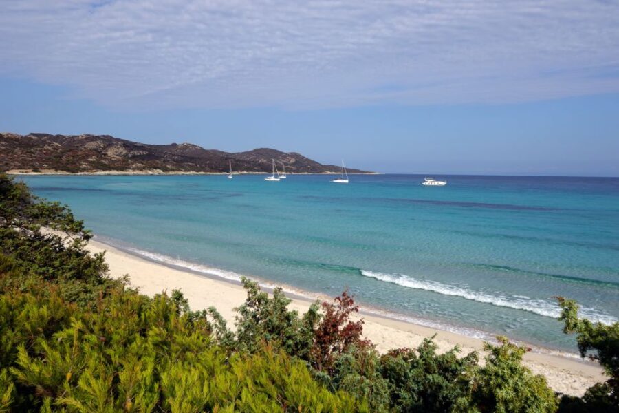 From Calvi: Agriate Guided Jeep Tour to Lotu and Saleccia - Nature and Wildlife