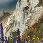 From Cambridge: Guided day trip to Brighton & Beachy Head - Climbing to the Cliffs: Beachy Head & the Seven Sisters