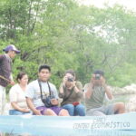 From Campeche: Flamingo Private Tour - An In-Depth Look at the Flamingo Private Tour