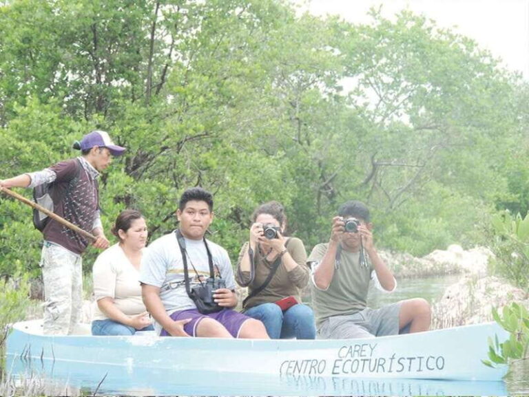 From Campeche: Flamingo Private Tour - An In-Depth Look at the Flamingo Private Tour