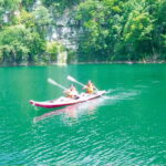 From Campeche: Miguel Colorado Cenotes Tour - Who Will Love This Tour?