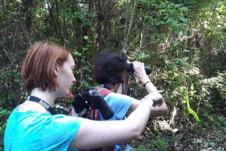 From Cancun: Bird Watching Day Tour - Why This Tour Stands Out