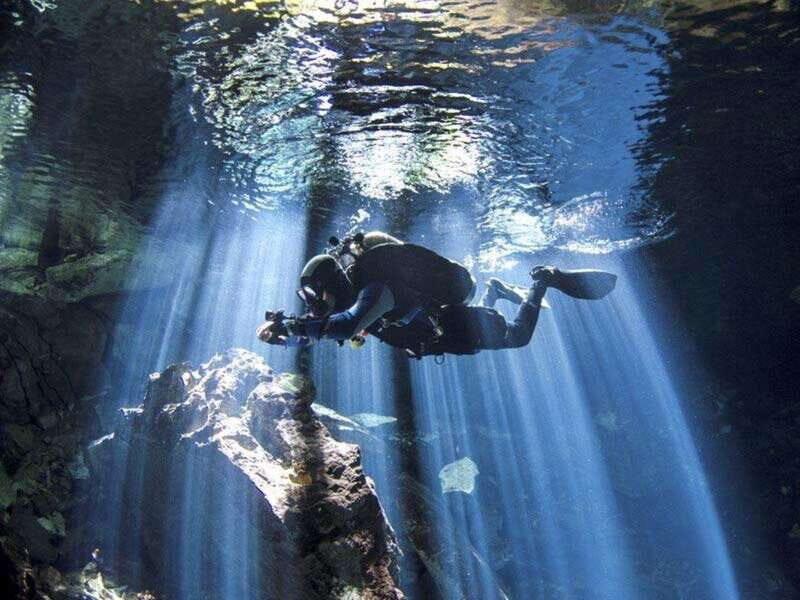 From Cancun: Chikin Ha Cenote Diving Experience - Who Will Love This Tour?