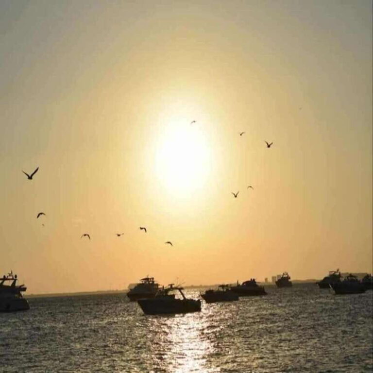 From Cancun: Isla Mujeres by Luxury Catamaran with Drinks - Final Thoughts: The Real Value