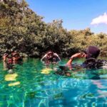 From Cancun: Ocean Reef Snorkeling - A Deep Dive into the Ocean Reef Snorkeling Experience