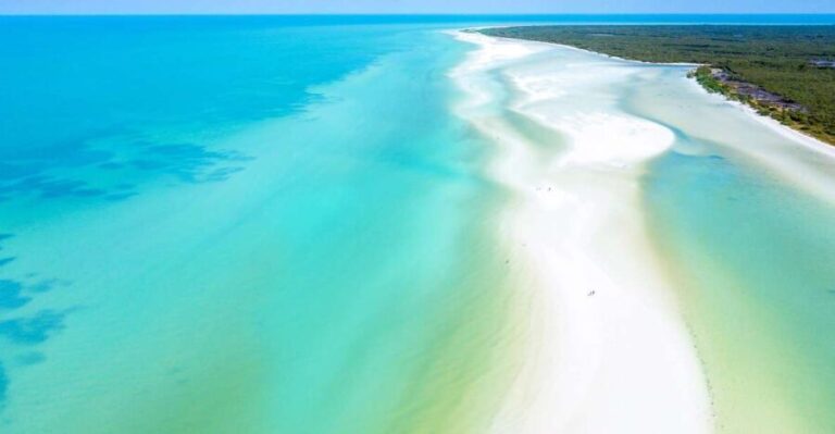 From Cancun or Puerto Morelos: Holbox Boat Tour with Lunch - The Experience: Authentic, Relaxing, and Well-Organized