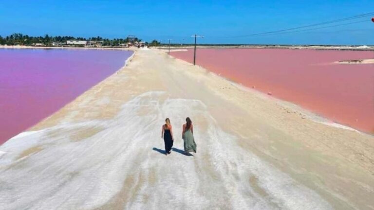 From Cancún: Rio Lagartos & Las Coloradas Day Trip & Lunch - Authentic Experiences and Visitor Insights