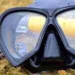 From Cancun: Snorkeling Cozumel The Heaven - Who Is This Tour Perfect For?