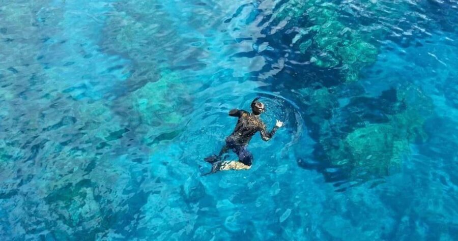 From Cancun: Snorkeling Underwater Museum - Exploring the Underwater Museum: A Detailed Review