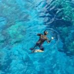 From Cancun: Whale Sharks Snorkeling - Why This Tour is a Great Choice