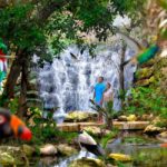 From Cancun: Xcaret Plus Park, the complete experience - Exploring Xcaret Park: An In-Depth Look