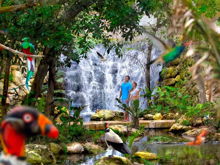 From Cancun: Xcaret Plus Park, the complete experience - Exploring Xcaret Park: An In-Depth Look