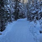 From Canmore/Banff: Columbia Icefield Skywalk Peyto Private Tour - Frequently Asked Questions