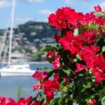 From Cannes:Shore excursion to Grasse,Antibes,St PauldeVence - Transportation and Group Dynamics