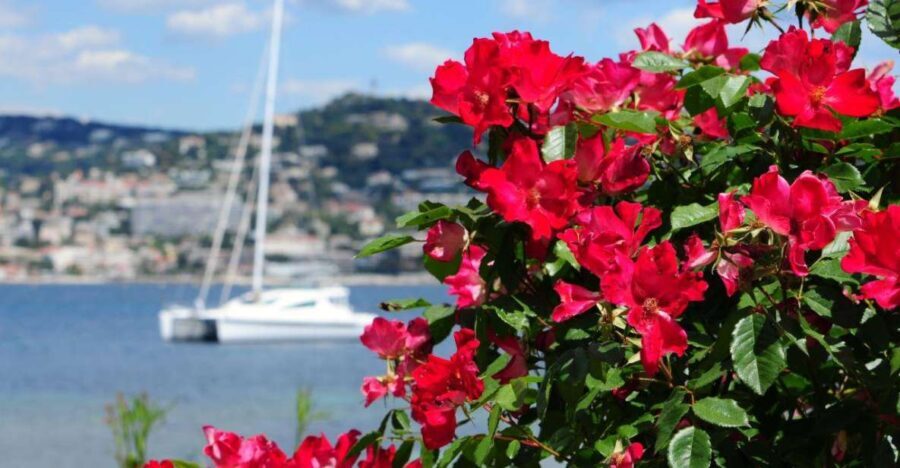 From Cannes:Shore excursion to Grasse,Antibes,St PauldeVence - Transportation and Group Dynamics