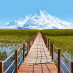 From Cappadocia: Sultan Marshes Area & Waterfall Tour - Full-Day Adventure Through Nature and Waterfalls
