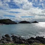 From Cardiff: The Wandering Bard's Swansea Bay Day Tour - The Value of This Tour