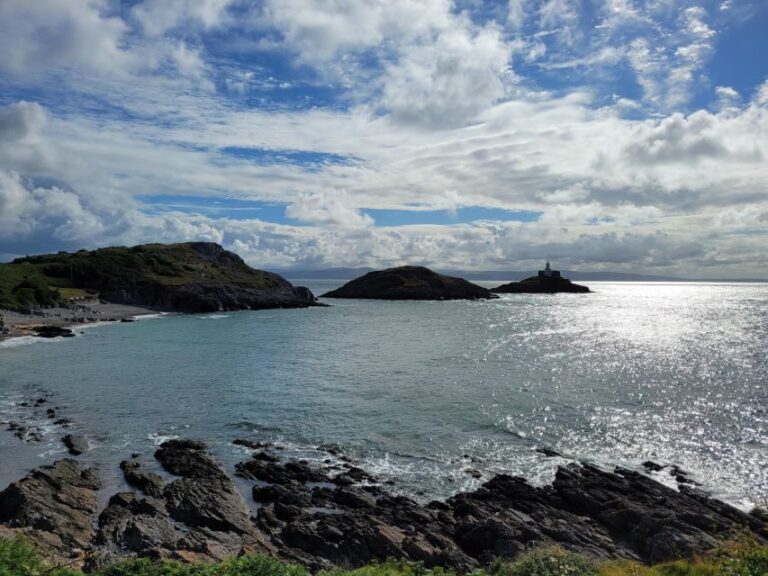 From Cardiff: The Wandering Bard's Swansea Bay Day Tour - The Value of This Tour