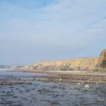 From Cardiff: Tour of Cardiff Bay and Vale of Glamorgan - What We Loved and Considerations