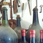 From Castellabate Paestum Temples Bufala Mozzarella wine tasting - Who Should Consider This Tour?