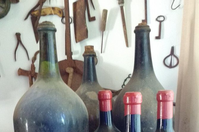 From Castellabate Paestum Temples Bufala Mozzarella wine tasting - Who Should Consider This Tour?