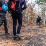From Catania: Private mt. Etna trekking and pic-nic - Who Is It Best For?