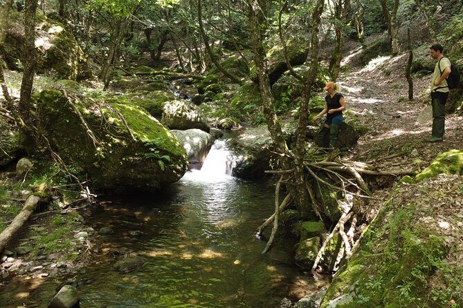 From Catania, Syracuse and Taormina: fly fishing experience - The Perfect Fit for Your Travel Style