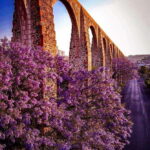 FROM CDMX and PUEBLA: Queretaro, Guanajuato, Hidalgo, Morelia 4 DAYS - What Makes This Tour Stand Out?