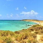 From Chania Area: Day Trip to Elafonisi Island by Bus - In-Depth Review