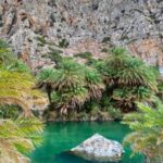 From Chania: Day Trip to Preveli Beach & Damnoni Beach - What Travelers Are Saying