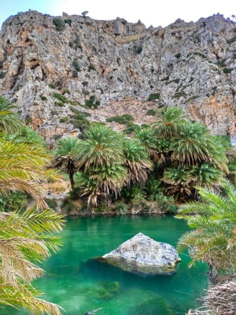 From Chania: Day Trip to Preveli Beach & Damnoni Beach - What Travelers Are Saying