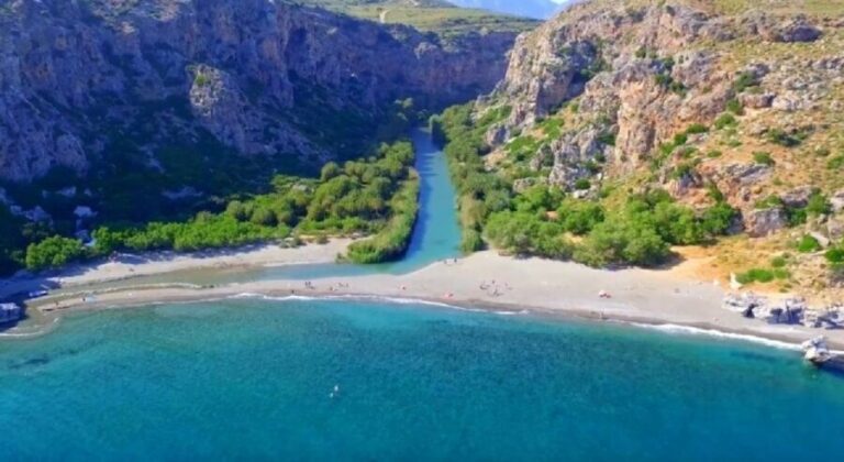From Chania: Day Trip to Preveli Palm Beach - The Experience: What Travelers Say