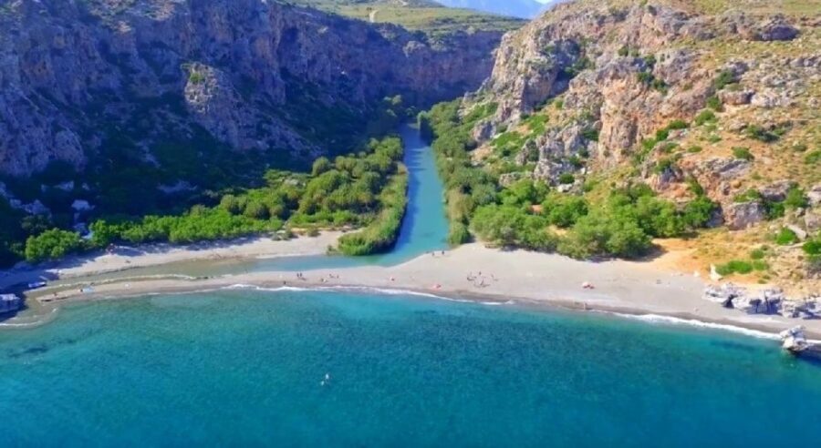 From Chania: Day Trip to Preveli Palm Beach - The Experience: What Travelers Say