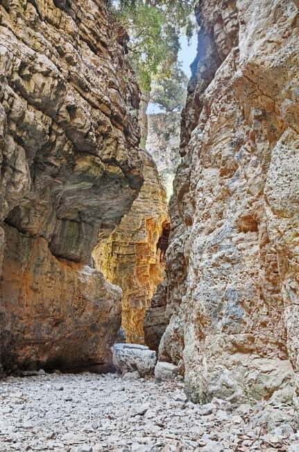 From Chania: Imbros Gorge and Sfakia Experience Hike & Swim - The Value of the Tour