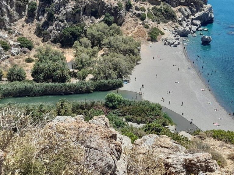 From Chania: Preveli Palm Beach and Kourtaliotis Waterfalls - Who Would Enjoy This Experience Most?