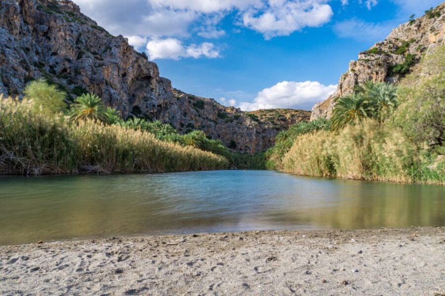 From Chania: Preveli Palm Beach Day Tour - Final Thoughts