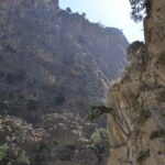 From Chania: Samaria Gorge Hike with Local Mountain Guide - What Makes This Tour Stand Out?