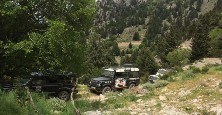 From Chania: White Mountains Land Rover Safari - Transportation and Comfort