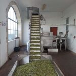From Chania: Wine, Honey & Olive Oil Private Tour - A Deep Dive into the Crete Private Experience
