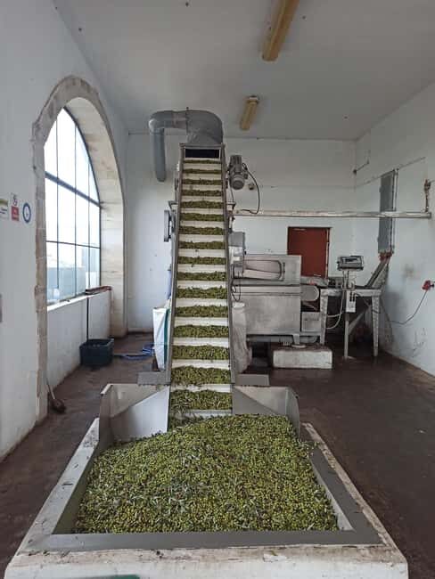 From Chania: Wine, Honey & Olive Oil Private Tour - A Deep Dive into the Crete Private Experience